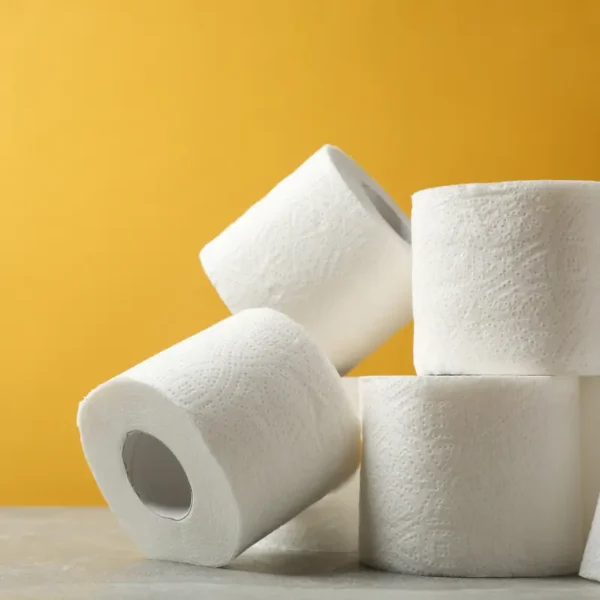 Bulk Tissue Paper (40 rolls)